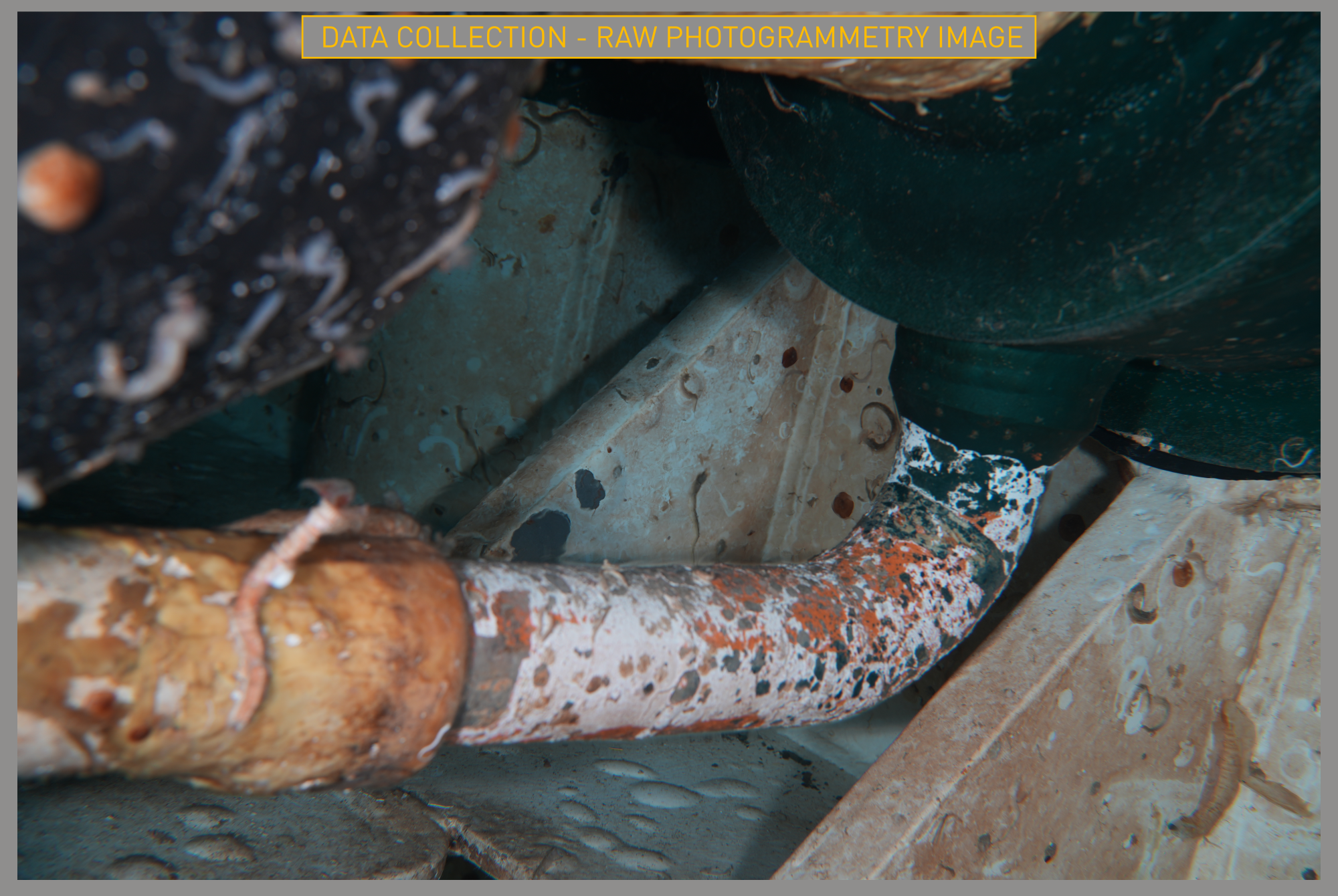 Data collection. Raw photogrammetry image