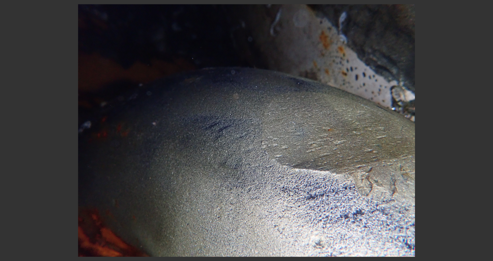 Photogrammetry - Still Photo