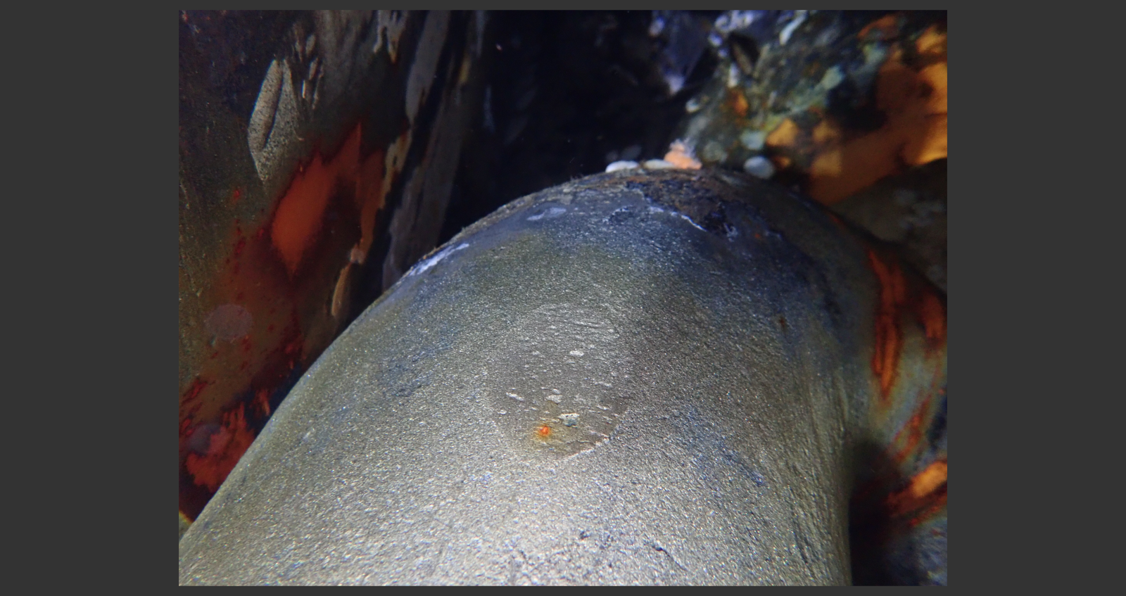 Photogrammetry - Still Image