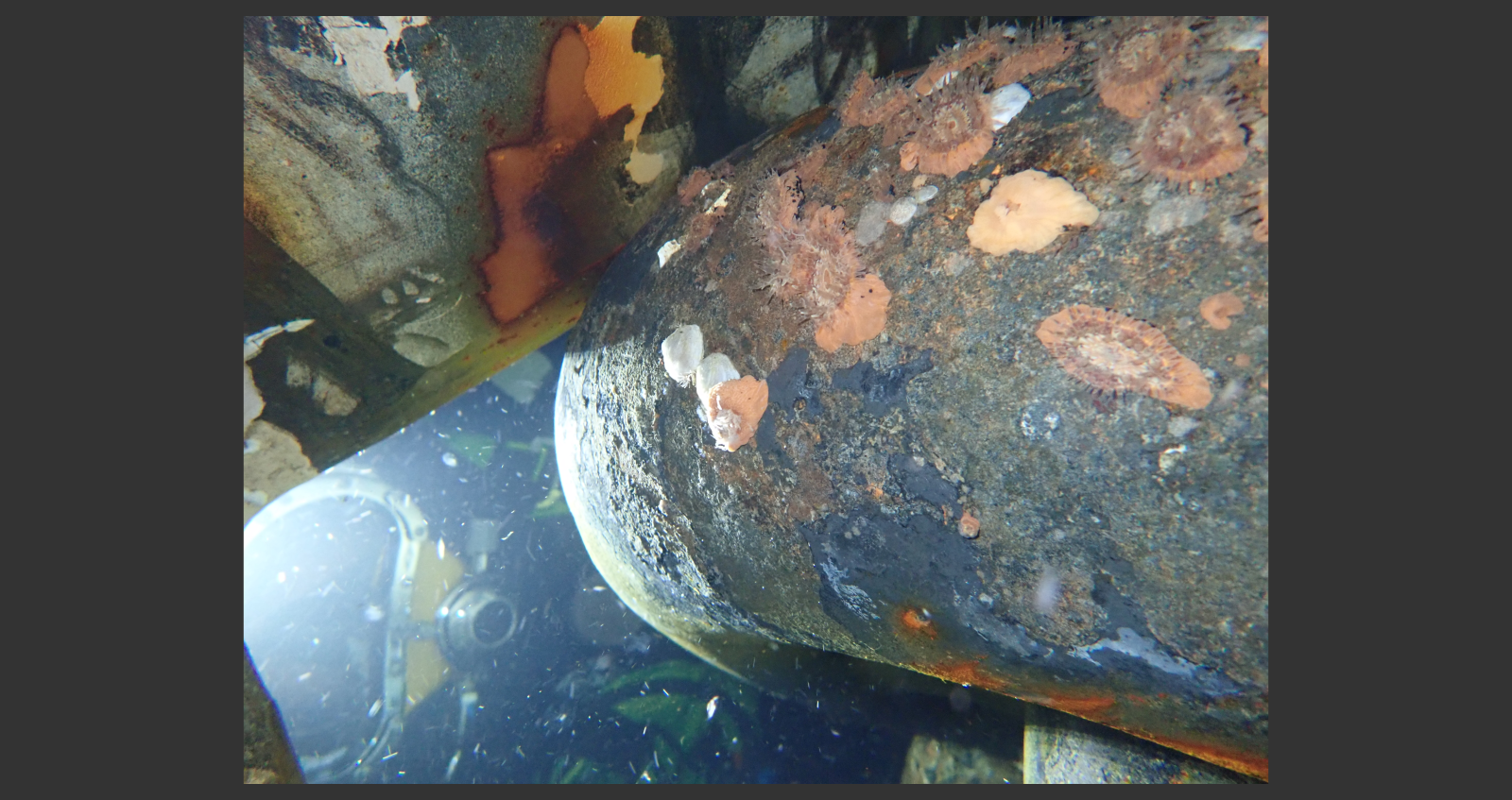 Photogrammetry - Still Photo