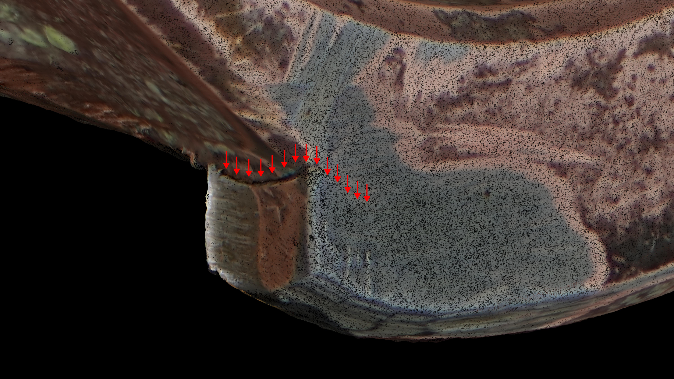 Photogrammetry - crack point cloud